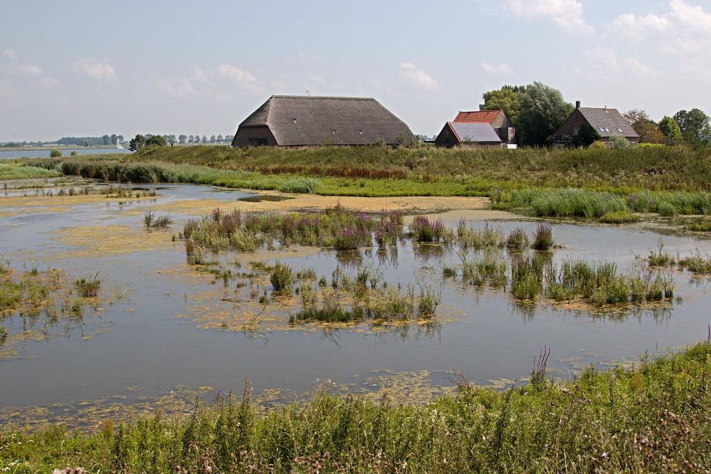 tiengemeten natuur natuurgebied natuurmonumenten hdr schotse hooglanders rien poortvliet museum eiland polder platteland